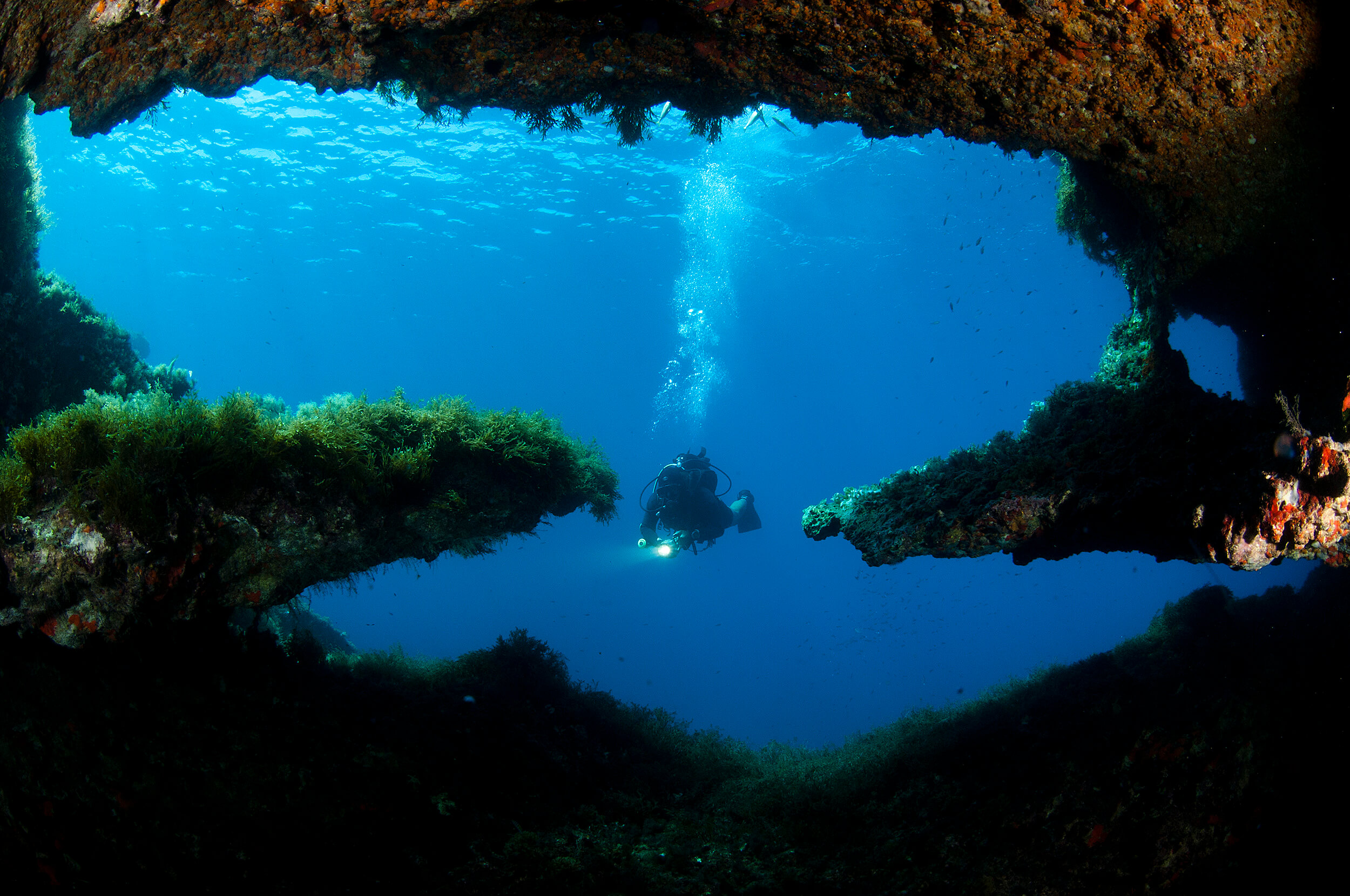 Top 10 Diving Sites in Gozo (and Comino)