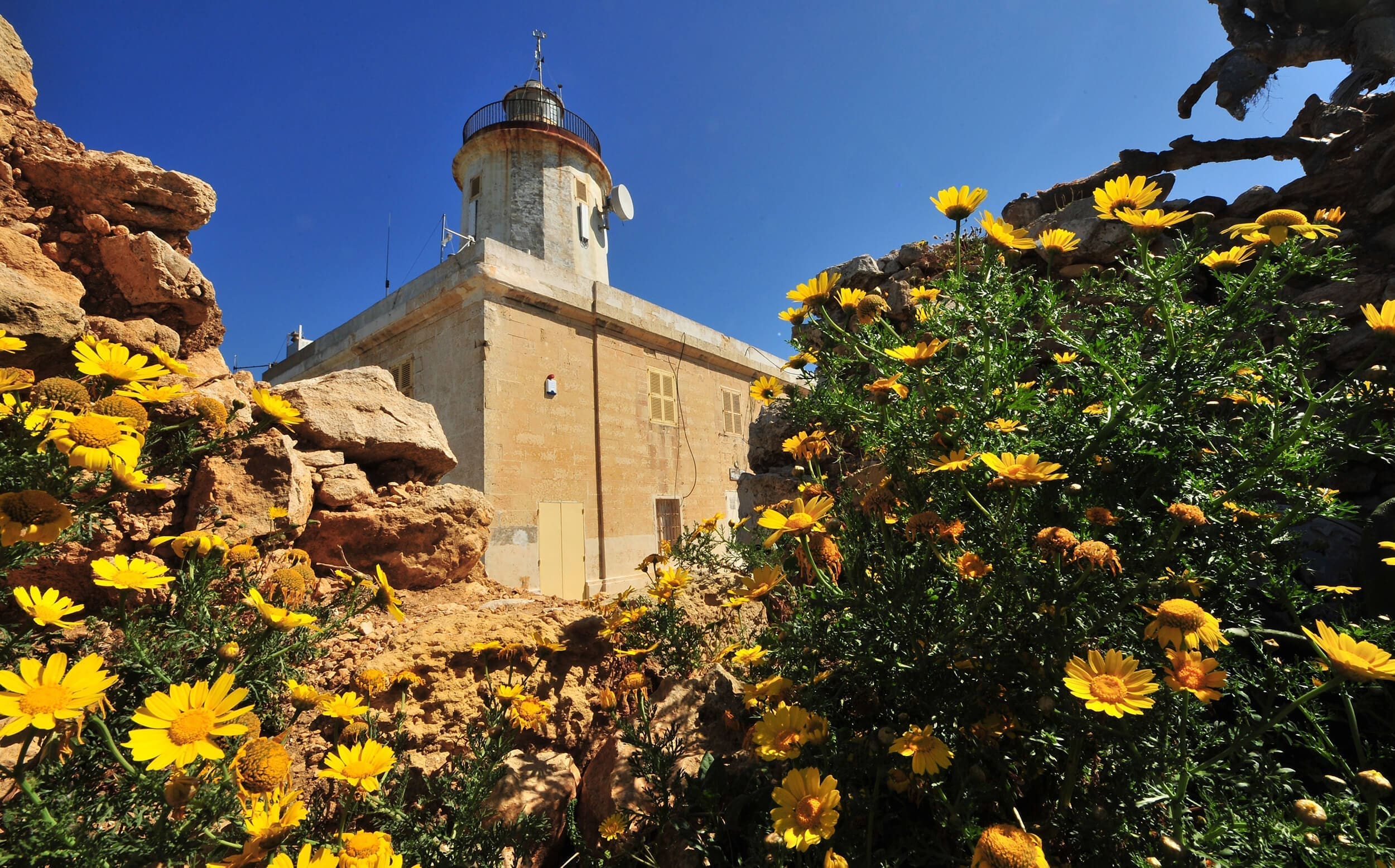 Bringing colourful character to our landscape – showcasing Gozo’s wonderful wildlife.