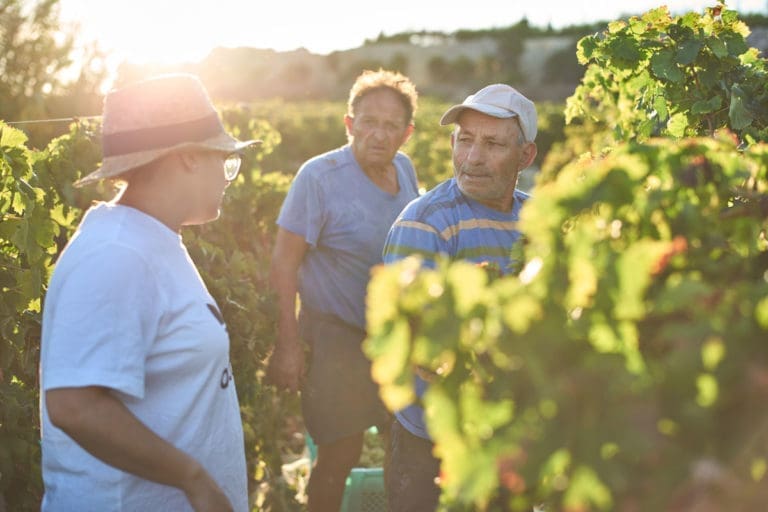 Behind the Scenes of the Harvest Season