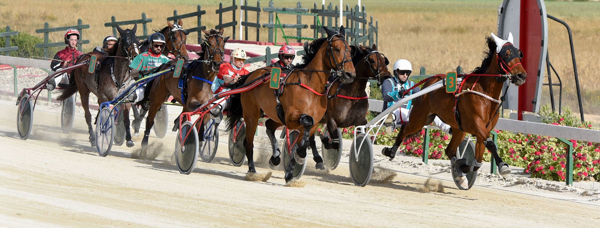 Horse Racing in Gozo